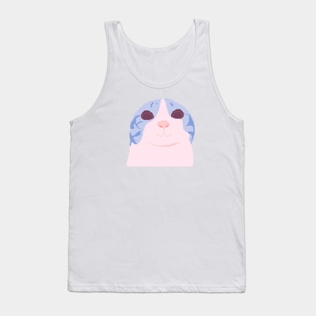 Funny Cat Meme Pixel Art Tank Top by pichi pixel